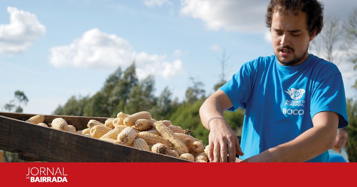 Reviver a Aldeia do Boco regressa para celebrar tradições e saberes ...