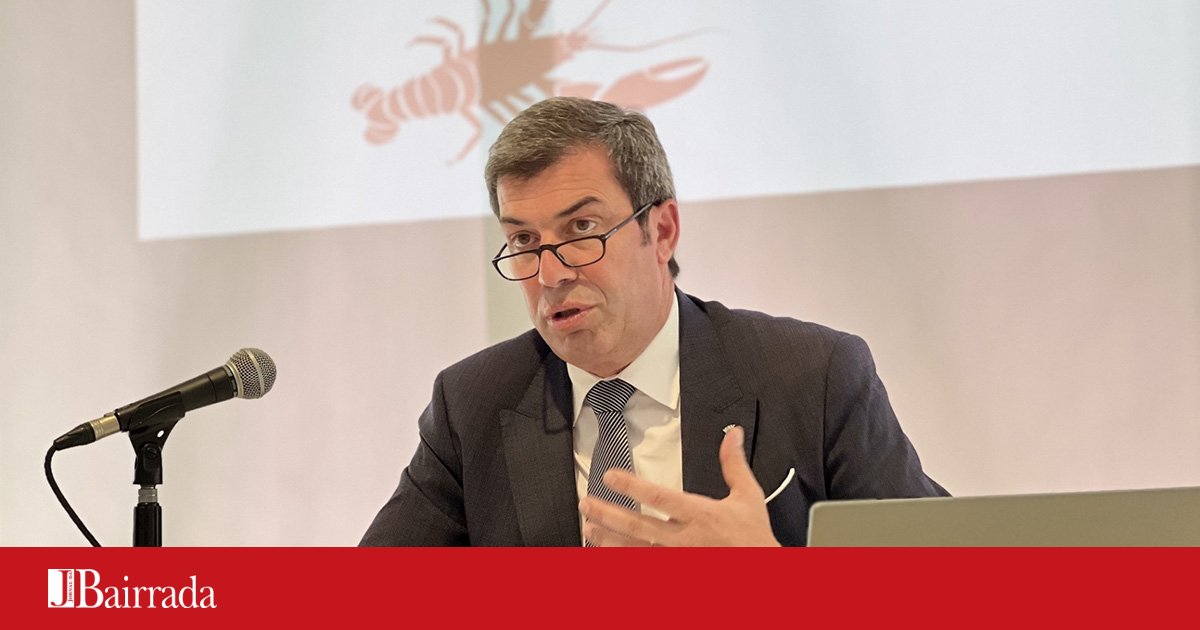 “Summer in Ílhavo” with music, gastronomy and plenty of entertainment – Jornal da Bairrada “Summer in Ílhavo” with music, gastronomy and plenty of entertainment – Jornal da Bairrada