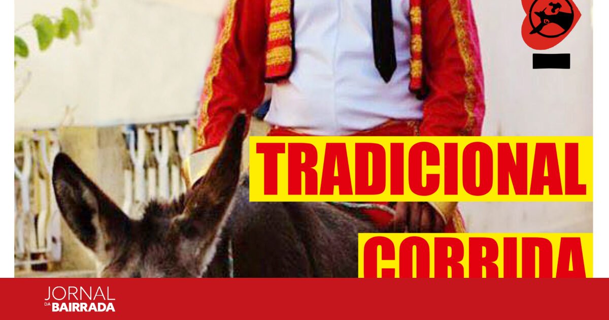 Tradicional Corrida De Burros Em Ancas Jornal Da Bairrada tradicional-corrida-de-burros-em-ancas-jornal-da-bairrada