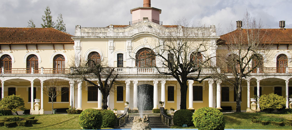 Curia Curia
