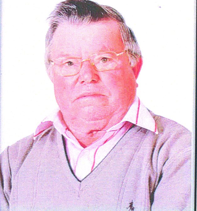 Manuel António da Silva Domingues