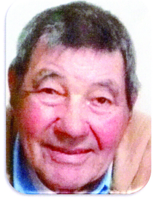 Manuel Luís Seabra Lincho