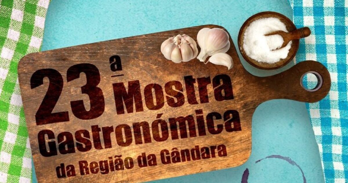Mostra Gastronómica volta à Praia de Mira - Vimarsana News